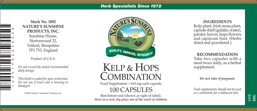 kelp__hops